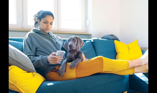 Woman with dog looking at phone