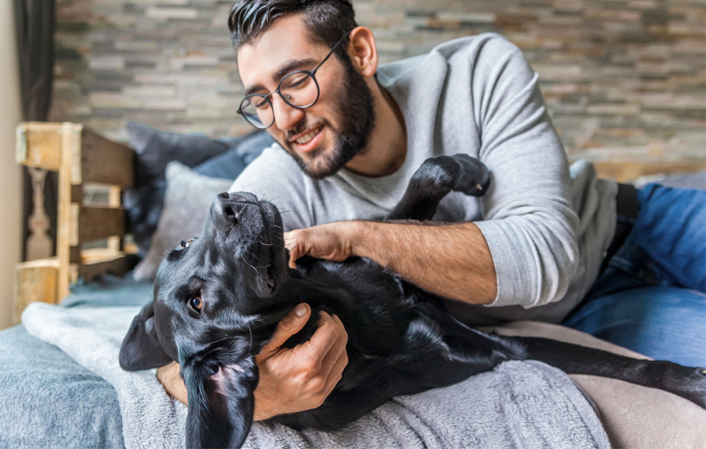 Man playing with a black dog on a bed