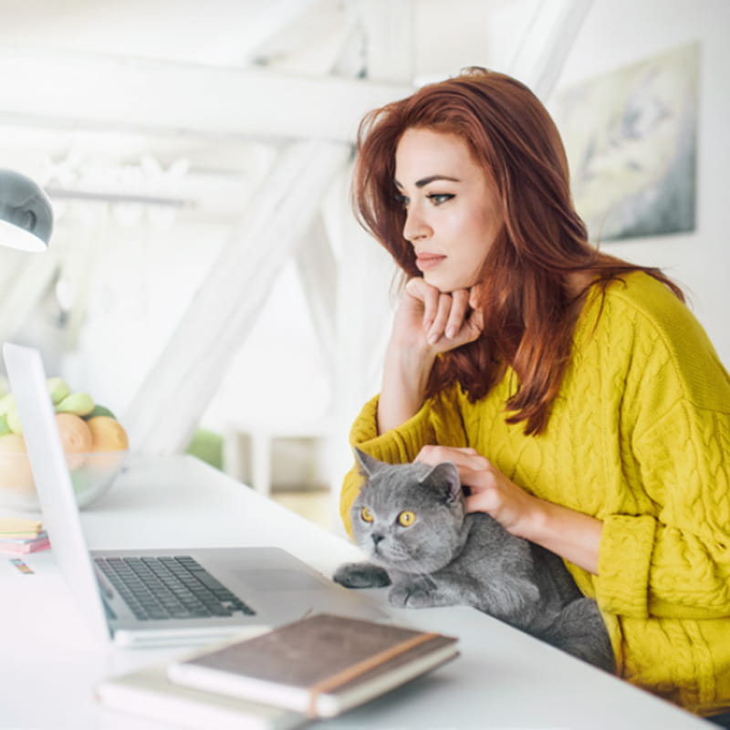 women in yellow sweater on virtual call on laptop with her grey cat sitting in her lap