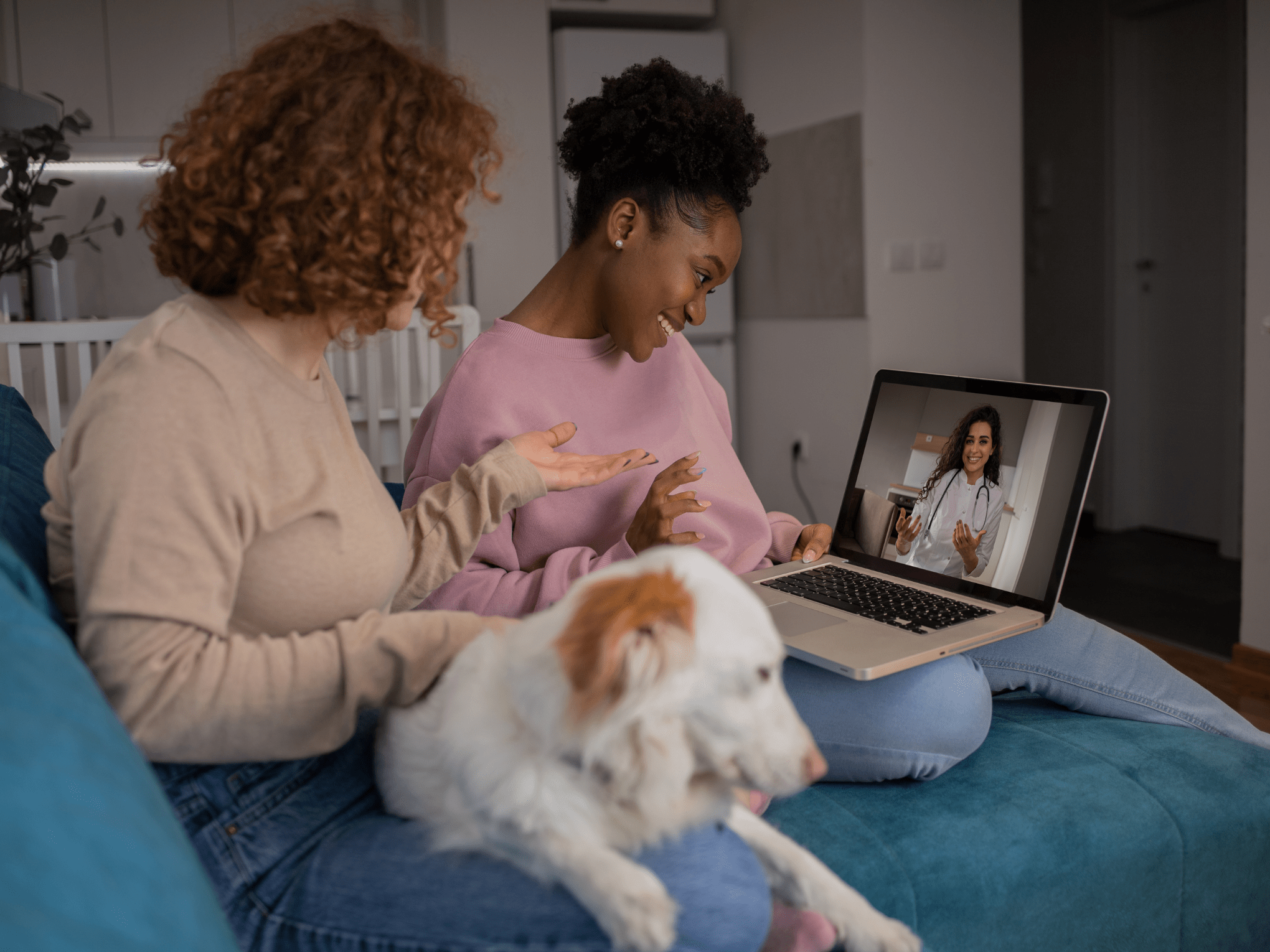 two women on telemedicine call with their dog's veterinarian