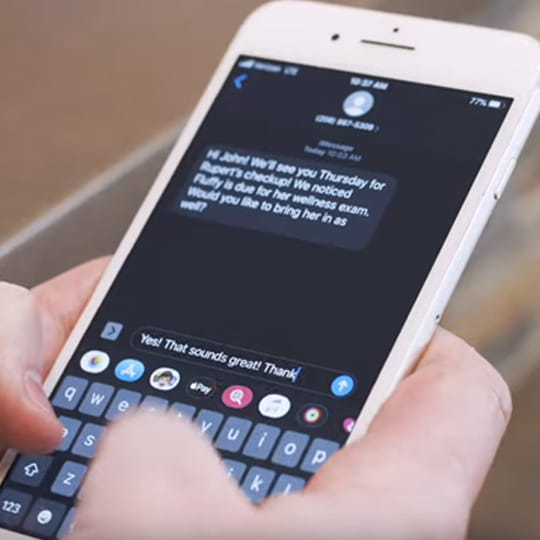 Man's hands holding a phone, exchanging text messages with his veterinarian